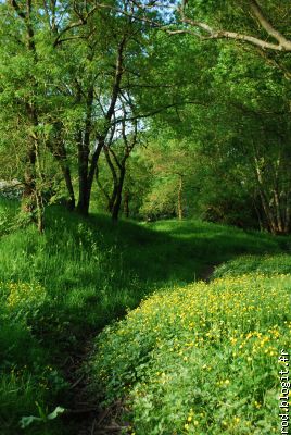 premi&egrave;res lueurs du printemps