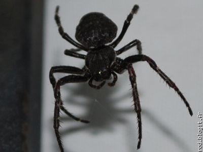 on ne bouge plus, merci !