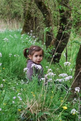 une petite fleur parmis les fleurs...